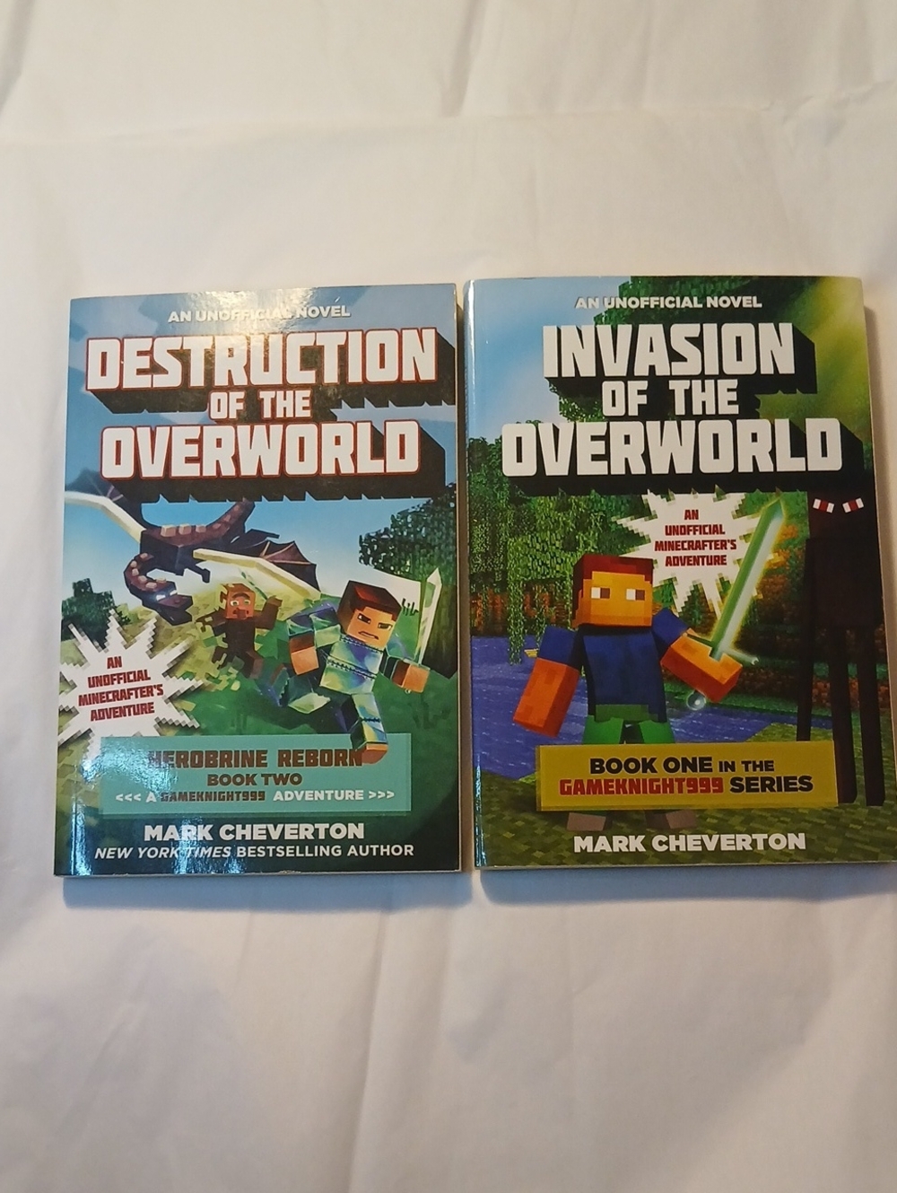 🍊3/$15🍊 Minecraft Storybooks